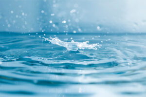 Lee más sobre el artículo El agua puede crear paz o desencadenar conflictos